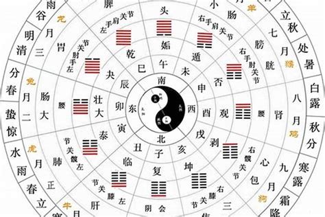 八字 丁火|十天干與十二地支喜忌——丁火篇